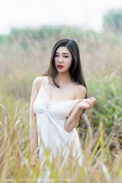 《金花瓶楷梅花2》
